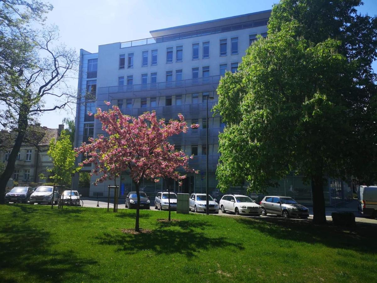 Apartament Topolowa 45M2 Centrum Poznan Dış mekan fotoğraf